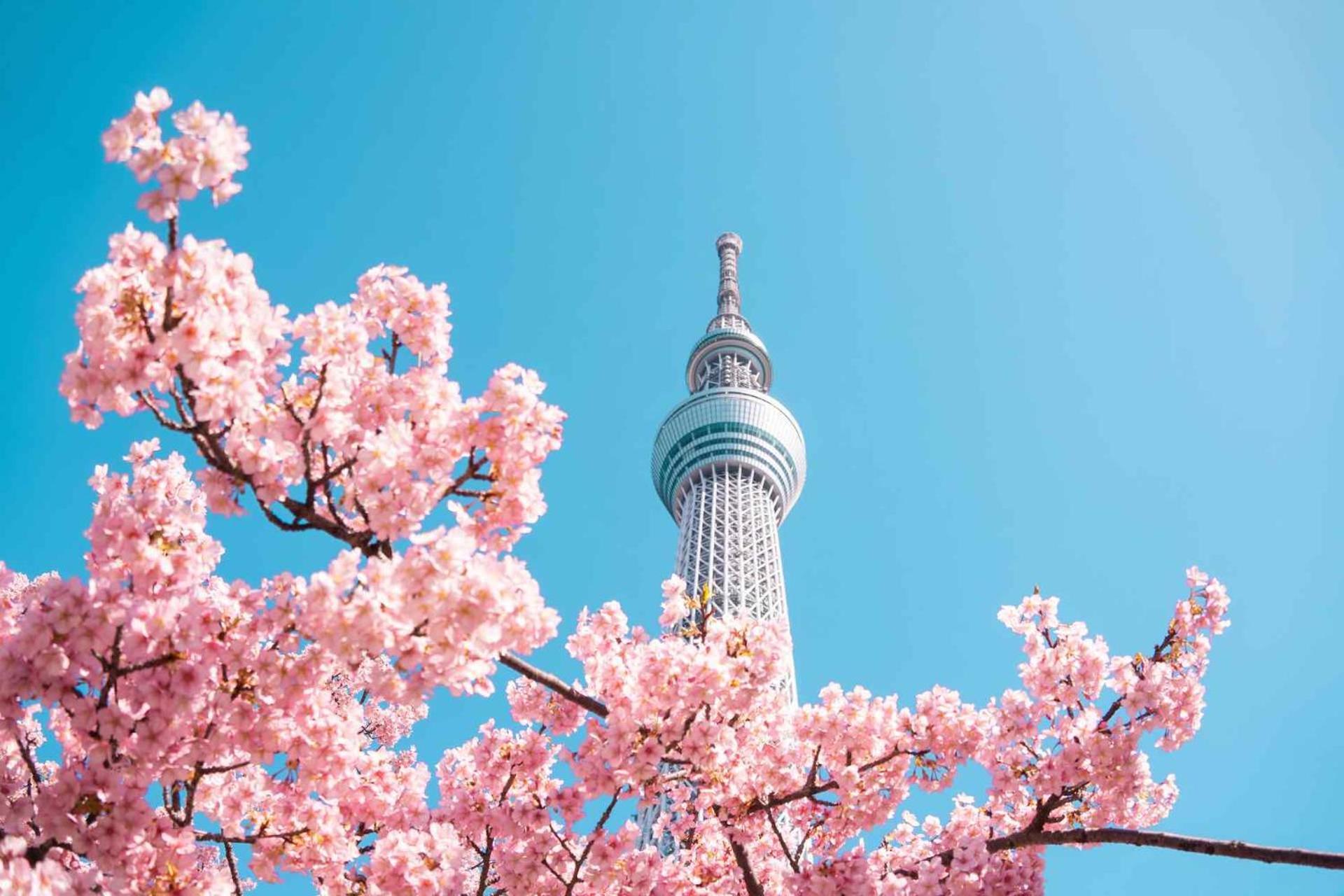 Fl Hotel Asakusa Tokyo Eksteriør bilde